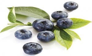 blueberries health benefits