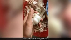 garlic peeling hack goes viral