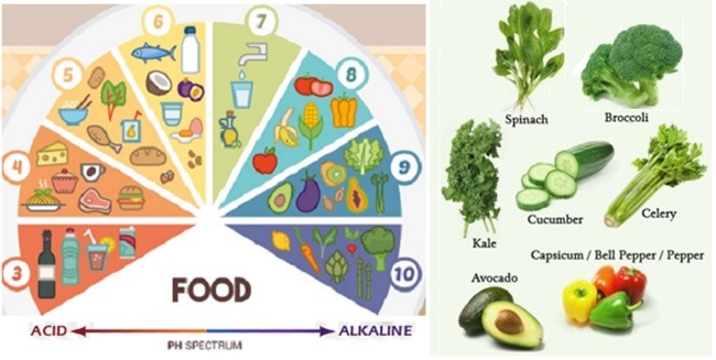 Ph Spectrum Food Chart