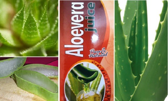 aloe vera