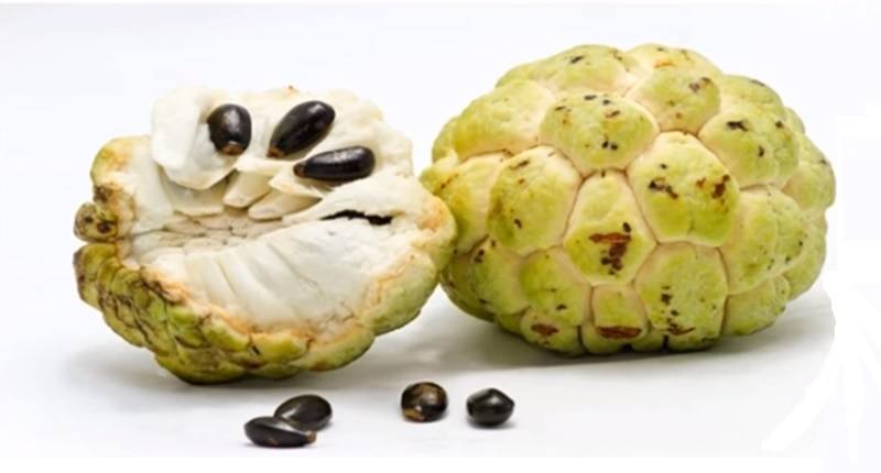 custard apple